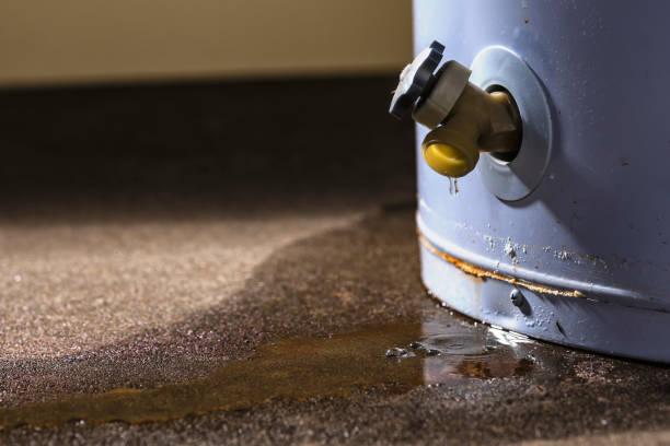 Best Local water damage restoration  in Roselle, NJ