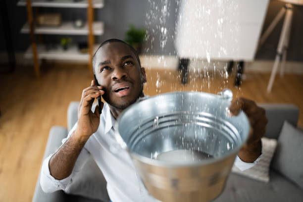 Best Residential water damage restoration  in Roselle, NJ