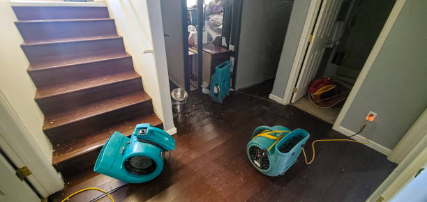 Best Local water damage restoration  in Roselle, NJ