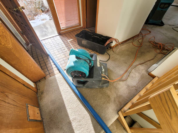 Best Flooded house restoration  in Roselle, NJ