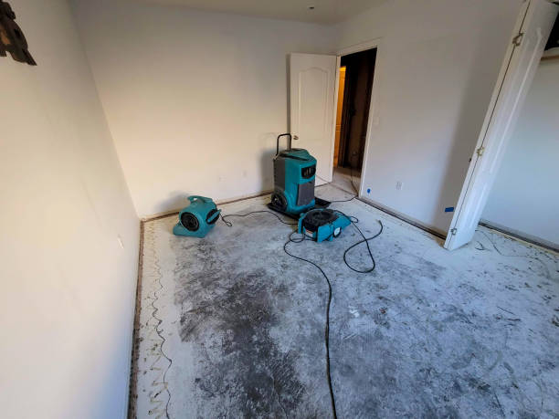 Best Carpet water damage restoration  in Roselle, NJ