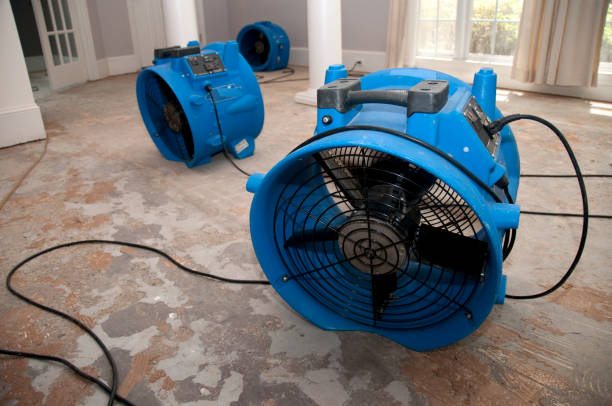 Best Fire Damage Restoration  in Roselle, NJ