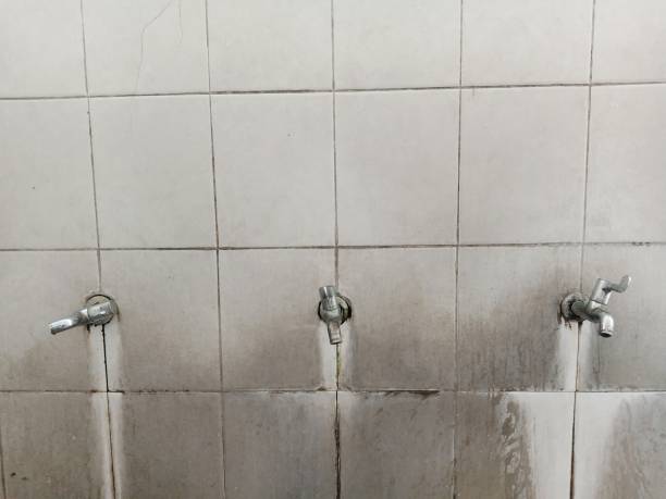 Best Residential water damage restoration  in Roselle, NJ
