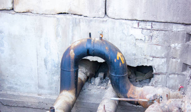Best 24/7 water damage repair  in Roselle, NJ