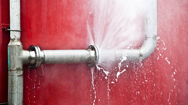 Best Basement water damage restoration  in Roselle, NJ